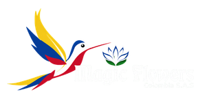 Magic Flowers Colombia S.A.S